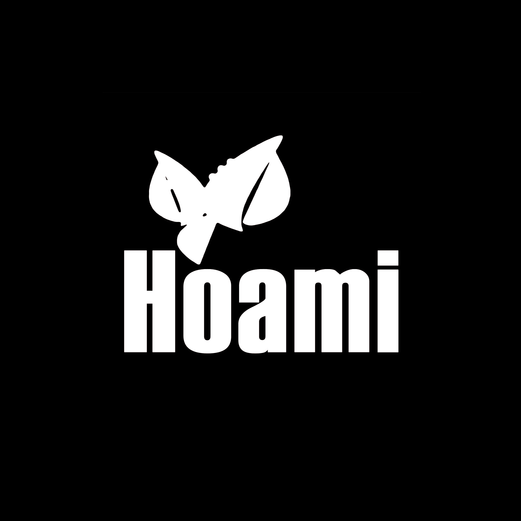 Hoami's profile picture